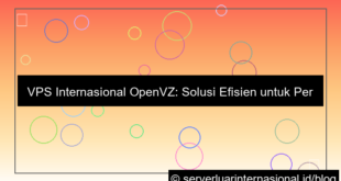 desain vps internasional openvz