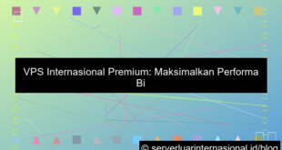 visual vps internasional premium