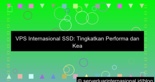 gambar vps internasional ssd