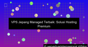 visual vps jepang managed